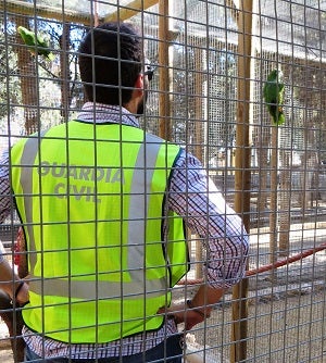 Detenido un menor de 17 años por robar dos loros en el Parque de Huércal-Overa