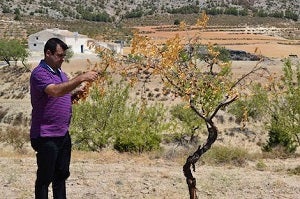 COAG reclama que se declare ‘zona catastrófica’ el norte de Almería a causa de la sequía extrema