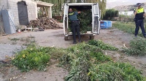 La Guardia Civil practica 3 detenciones e interviene 120 plantas de marihuana