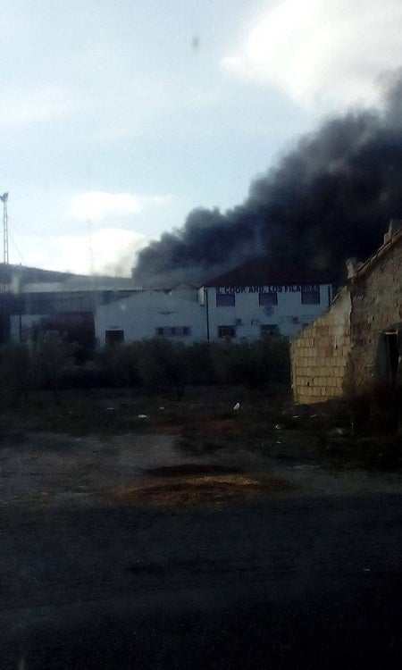 Aparatoso incendio en una cooperativa de Sorbas