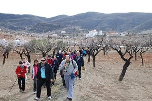 Lubrín acoge con éxito la segunda Ruta Almendro en Flor