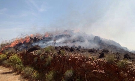 Segundo incendio forestal en Bédar