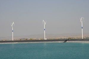 El Levante contra el cambio climático