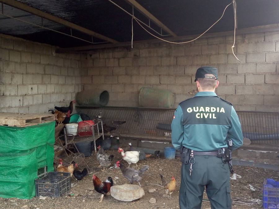 Detenidas dos personas por diversos robos en explotaciones agrícolas de Pulpí