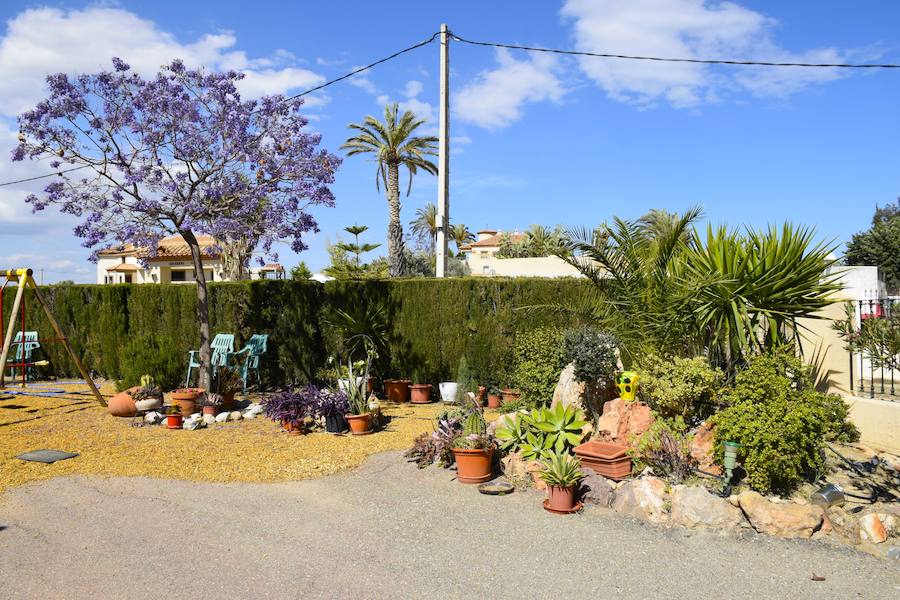 Éxito de participación en el Concurso de Embellecimiento de Balcones y Jardines de Turre