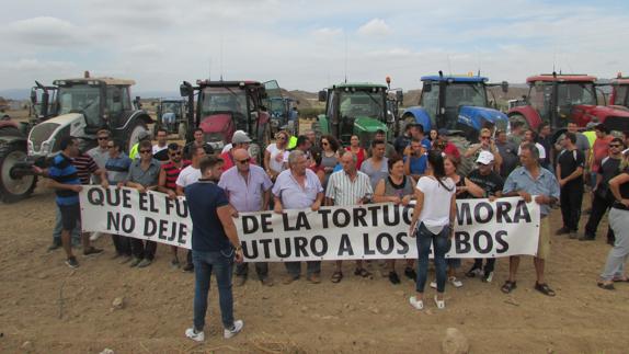Ecologistas culpa a Desert Spring y Junta del problema de la tortuga