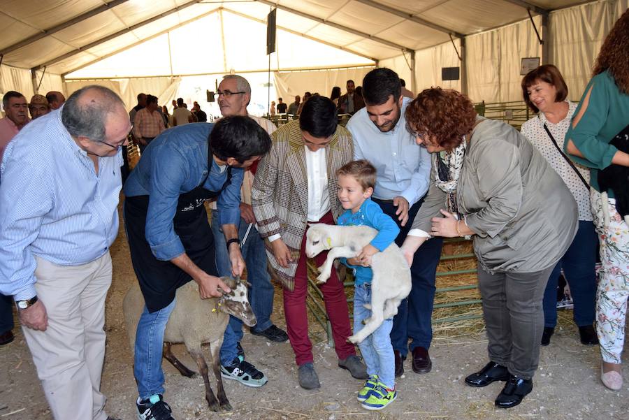 La Feria de Ganado de Loja está organizada por el Ayuntamiento de Loja y la Asociación de Criadores de la Raza Ovina Lojeña y cuenta con la colaboración de la Asociación del Poniente Granadino, la Diputación de Granada, la Junta de Andalucía y el Ministerio de Agricultura. 