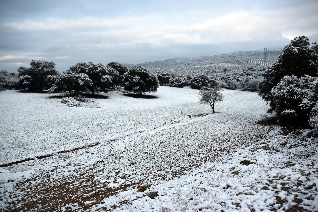 Ventorros de San José, Montefrío y la carretera a Tocón, tras la nevada de este domingo