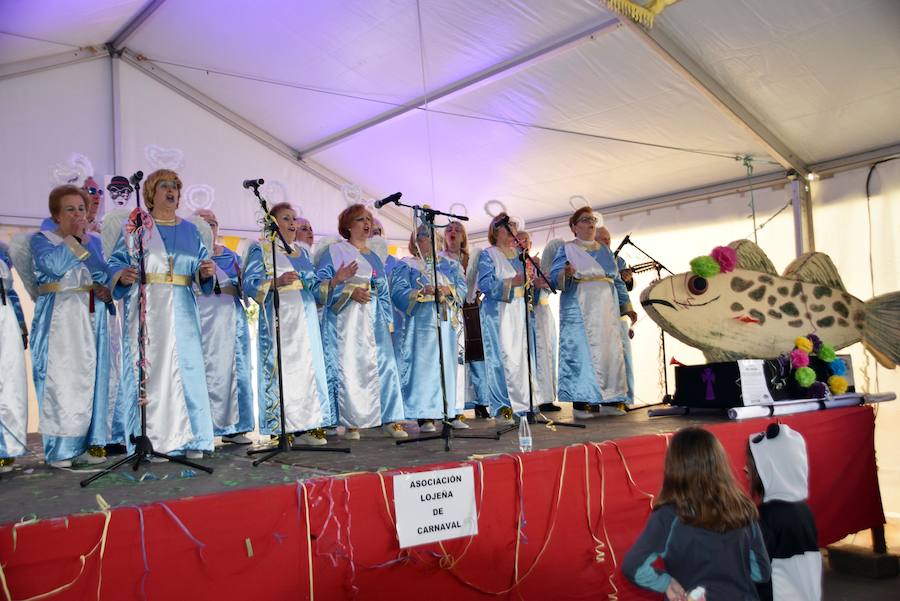 Fotos: Domingo Teoletero, la guinda del Carnaval de Loja
