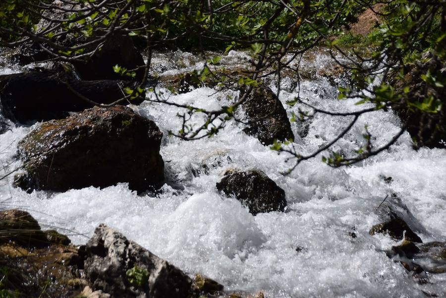 Fotos: El nacimiento de Riofrío, pleno en primavera