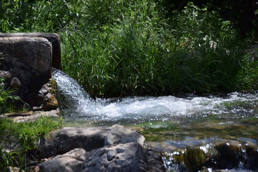 Fotos: El nacimiento de Riofrío, pleno en primavera