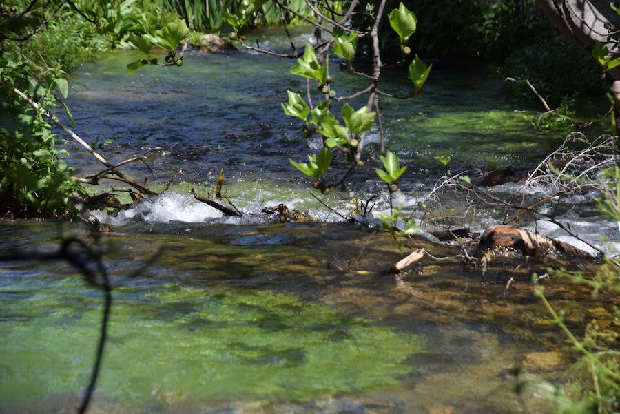 Fotos: El nacimiento de Riofrío, pleno en primavera