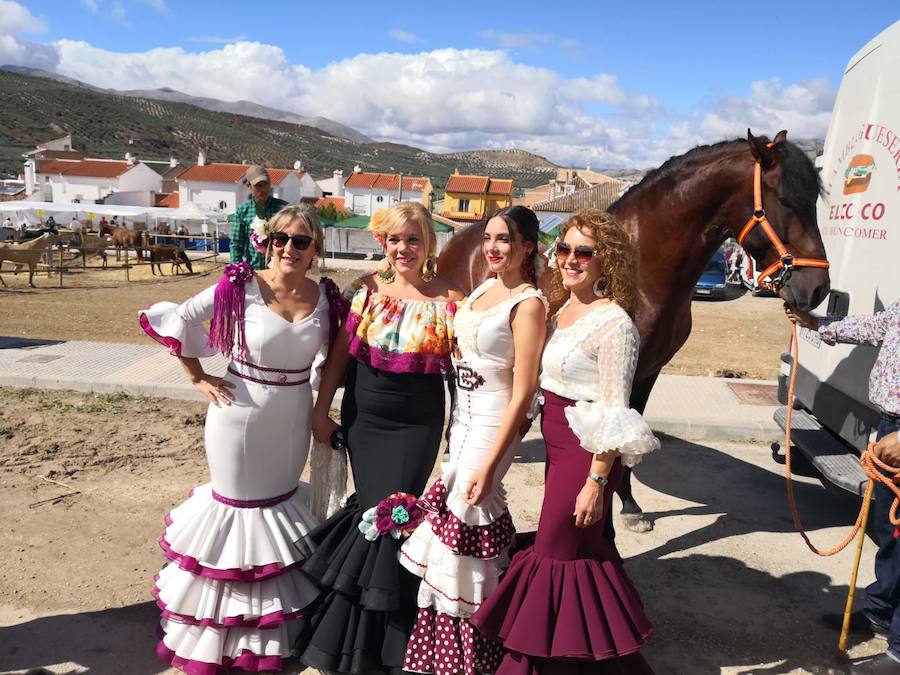 Fotos: 182 años de feria salareña