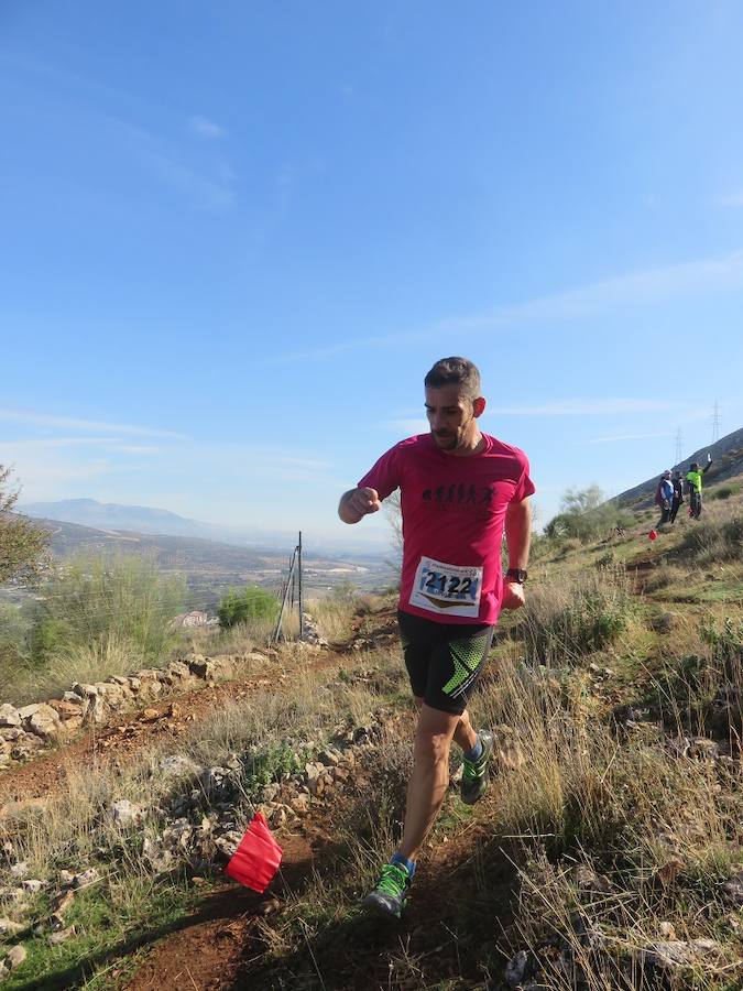 El club Mala Cara de Loja -con el apoyo del Ayuntamiento y de empresas como Abades o Congelados Apolo- lo ha vuelto a hacer. Más de 750 corredores disfrutan del 'running' de montaña con un duro recorrido entre las dos sierras lojeñas y sus complicados desniveles.