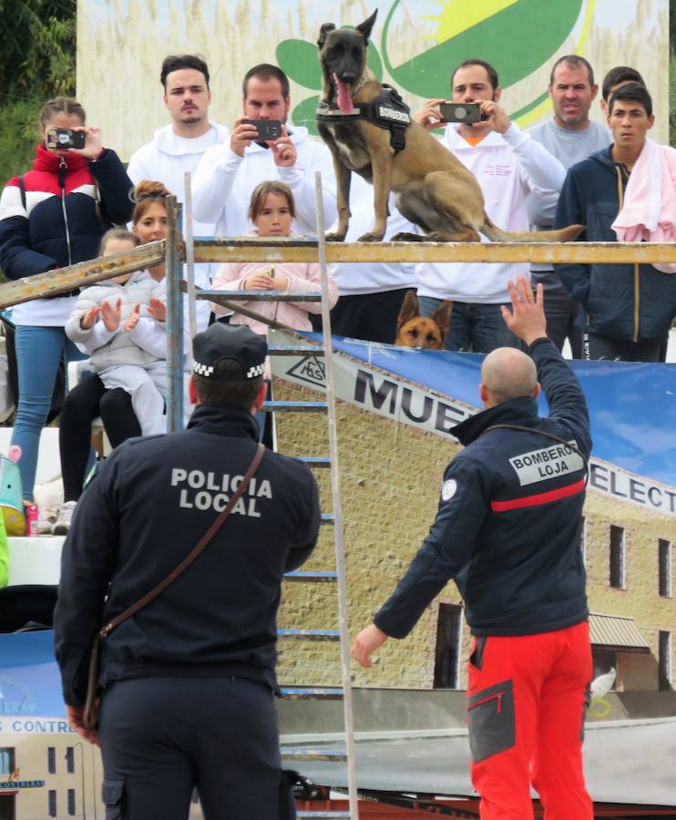 La asociación 'Quiérete' de Villanueva Mesía echa a andar y lo hace con fuerza, fomentando el empoderamiento de las mujeres y mostrando su lucha contra la Violencia de Género y el apoyo a las víctimas. Y se estrenan con una exhibición canina que, con la organización de K13 y el Ayuntamiento, ha contado con la colaboración de las unidades de Bomberos y Policía Local de Loja, Policía Local de Otura, Policía Local de Maracena y Policía Local de Monachil.