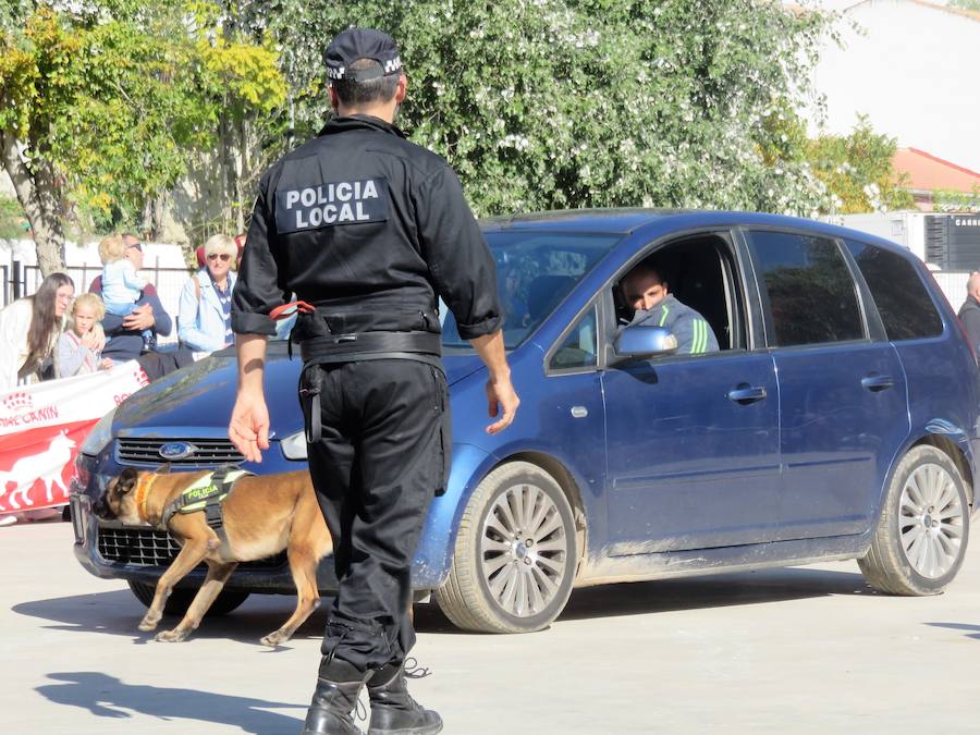 La asociación 'Quiérete' de Villanueva Mesía echa a andar y lo hace con fuerza, fomentando el empoderamiento de las mujeres y mostrando su lucha contra la Violencia de Género y el apoyo a las víctimas. Y se estrenan con una exhibición canina que, con la organización de K13 y el Ayuntamiento, ha contado con la colaboración de las unidades de Bomberos y Policía Local de Loja, Policía Local de Otura, Policía Local de Maracena y Policía Local de Monachil.