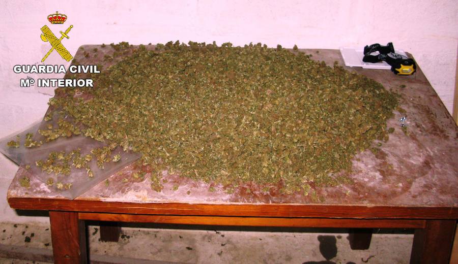 En esta misma operación la Guardia Civil ha investigado a otra persona al descubrir que poseía 1,6 kilos de marihuana y cultivaba 191 plantas de cannabis