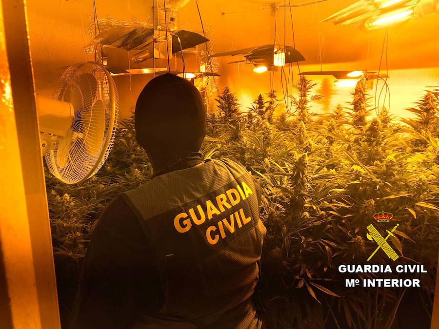Imagen principal - Una disputa entre varias personas destapa en Roquetas dos plantaciones de marihuana