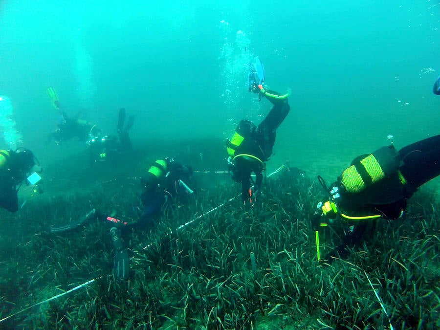 Talleres, charlas y salidas en barco gratuitas en la primera Semana de la Posidonia de Roquetas