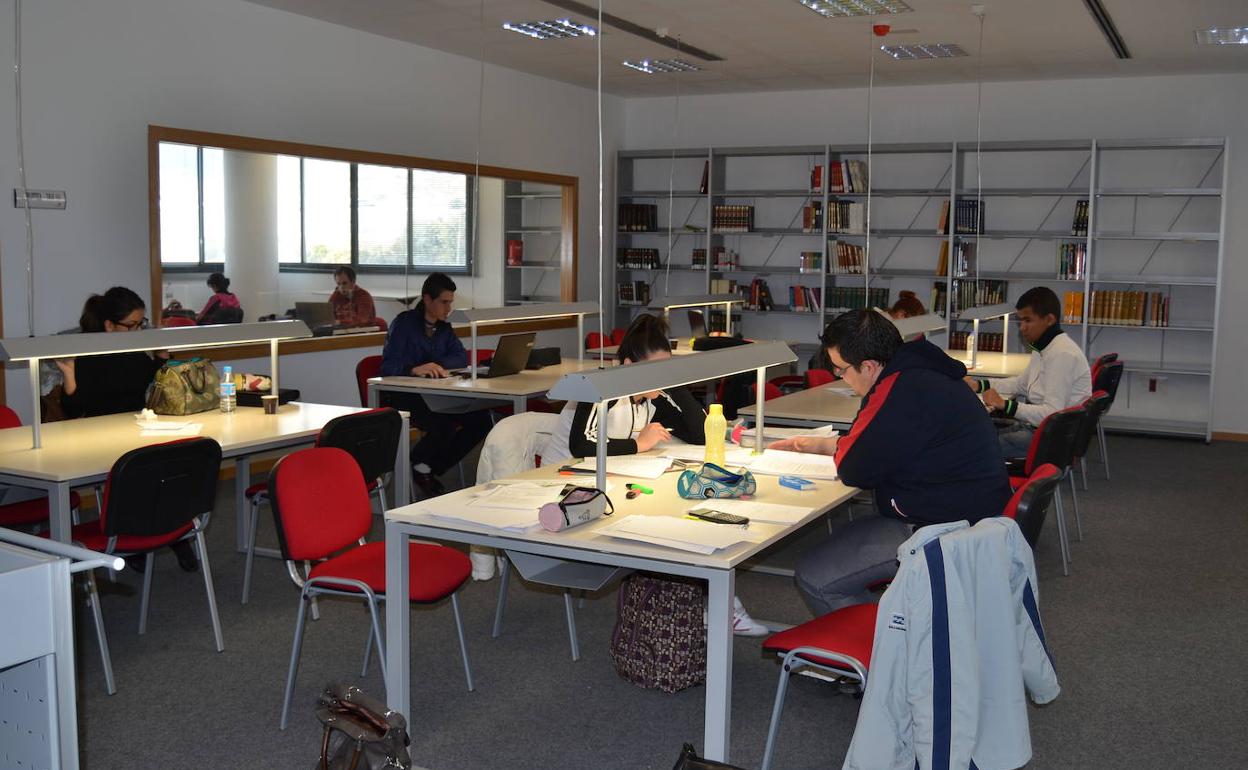 La extensa red de bibliotecas de Vícar dejará de funcionar por el momento. 