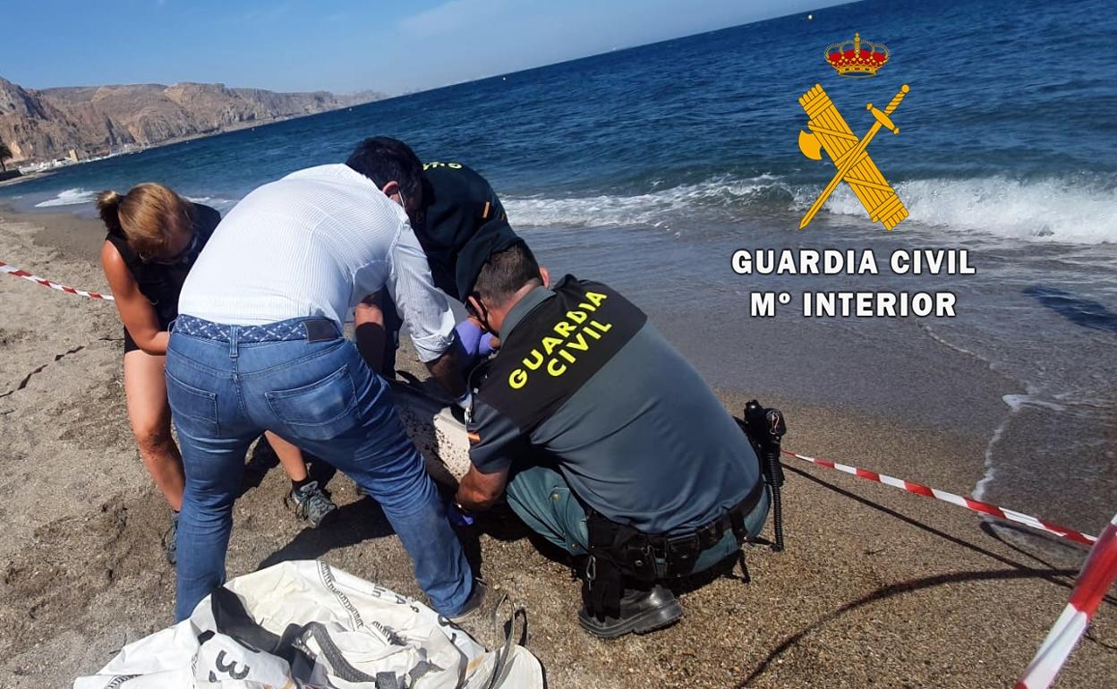 Sucesos en Almería | Aparece muerto un delfín en la playa de Aguadulce