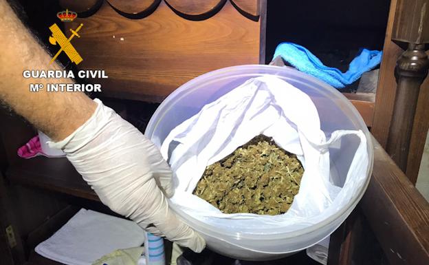 Sucesos en Almería | Les cazan con 700 plantas en la casa en la que vivían con sus cuatro hijos menores de edad