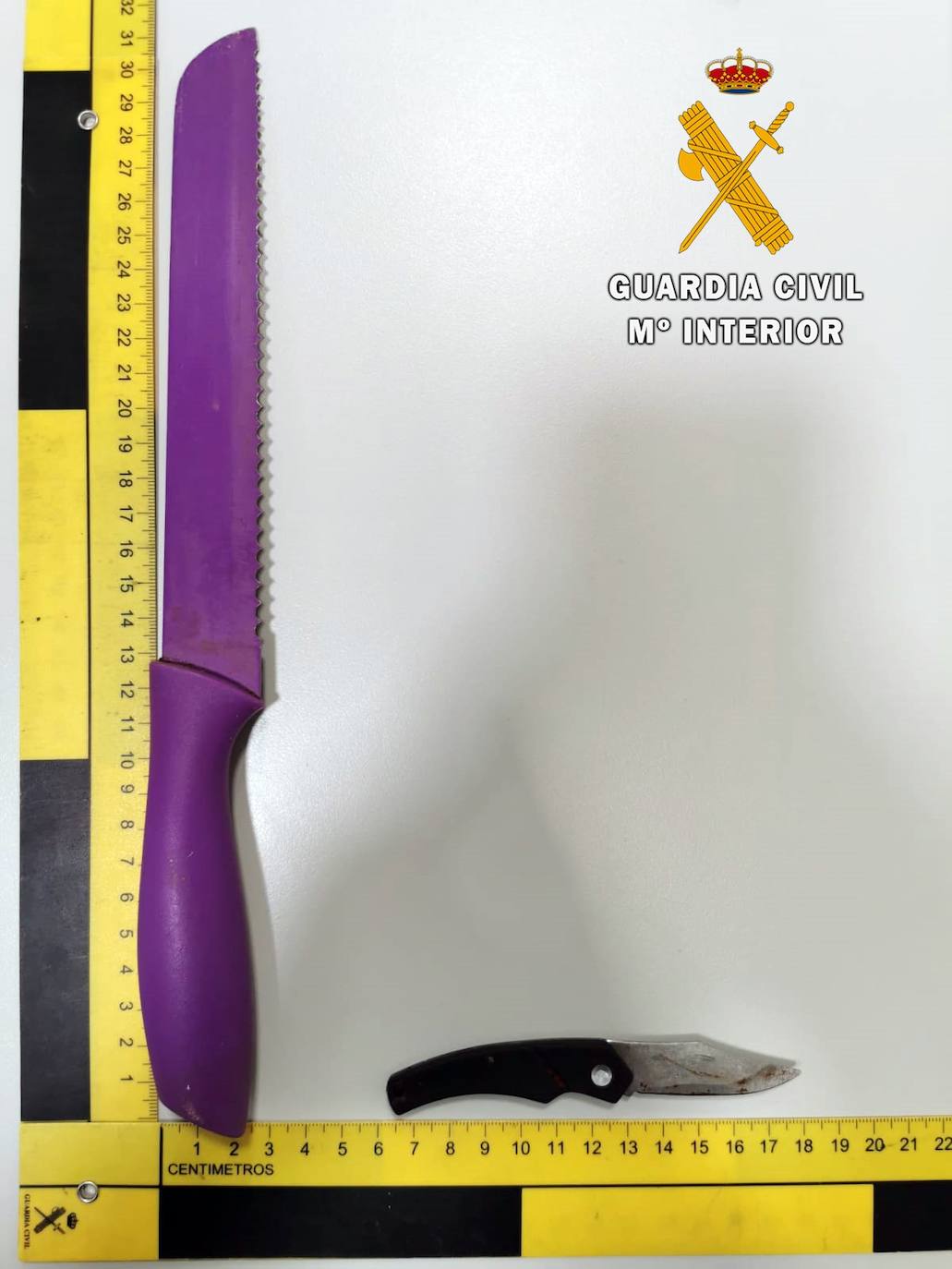 La Guardia Civil halló las armas que utilizaba para intimidar. 