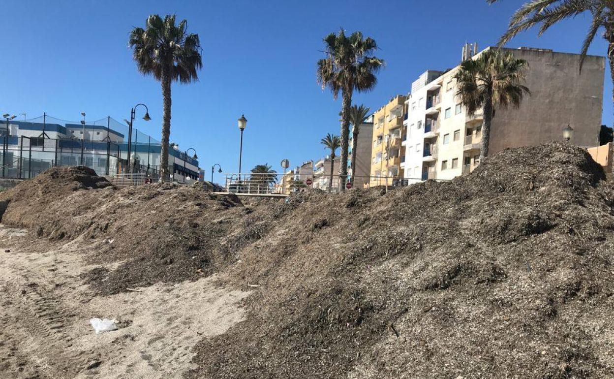El PP admite «complicaciones» en la limpieza de las playas, donde se acumula el lijo