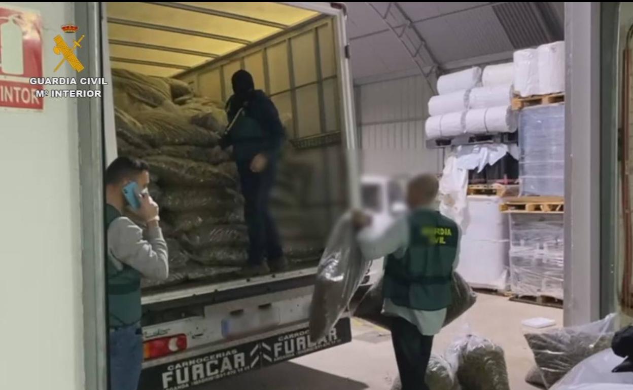 Golpe histórico en La Mojonera: tanta marihuana como la aprehendida en los últimos diez años