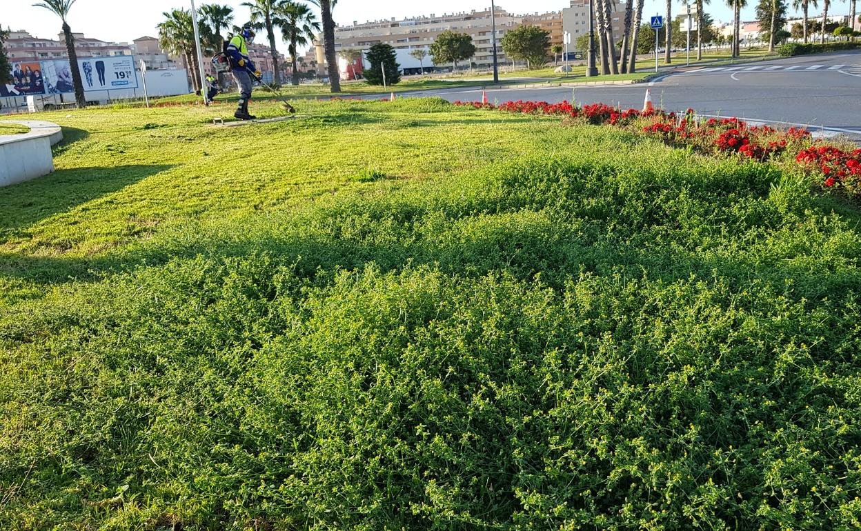 Inscripciones para la bolsa de empleo de jardineros hasta el 3 de septiembre