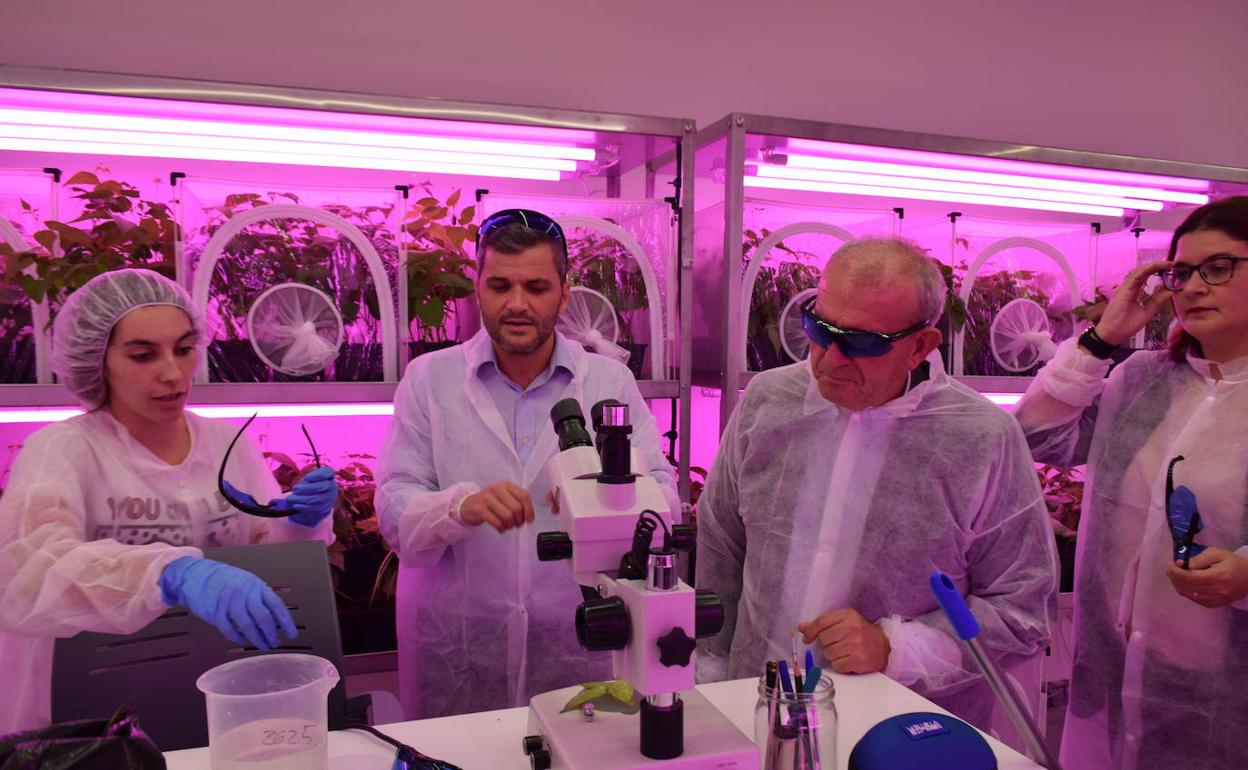 Luz verde en Vícar al mayor centro de biotecnología agrícola de Europa