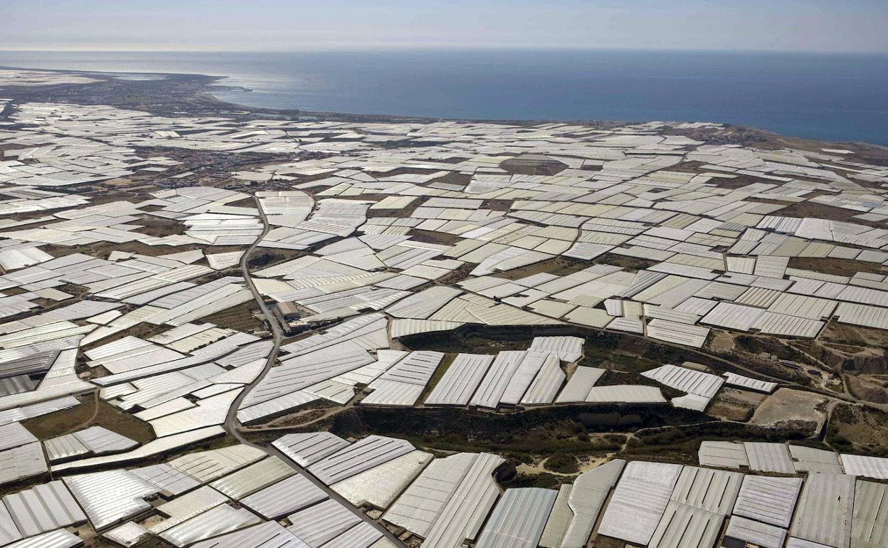 El Poniente sirve de modelo para mejorar la eficiencia de los acuíferos del planeta