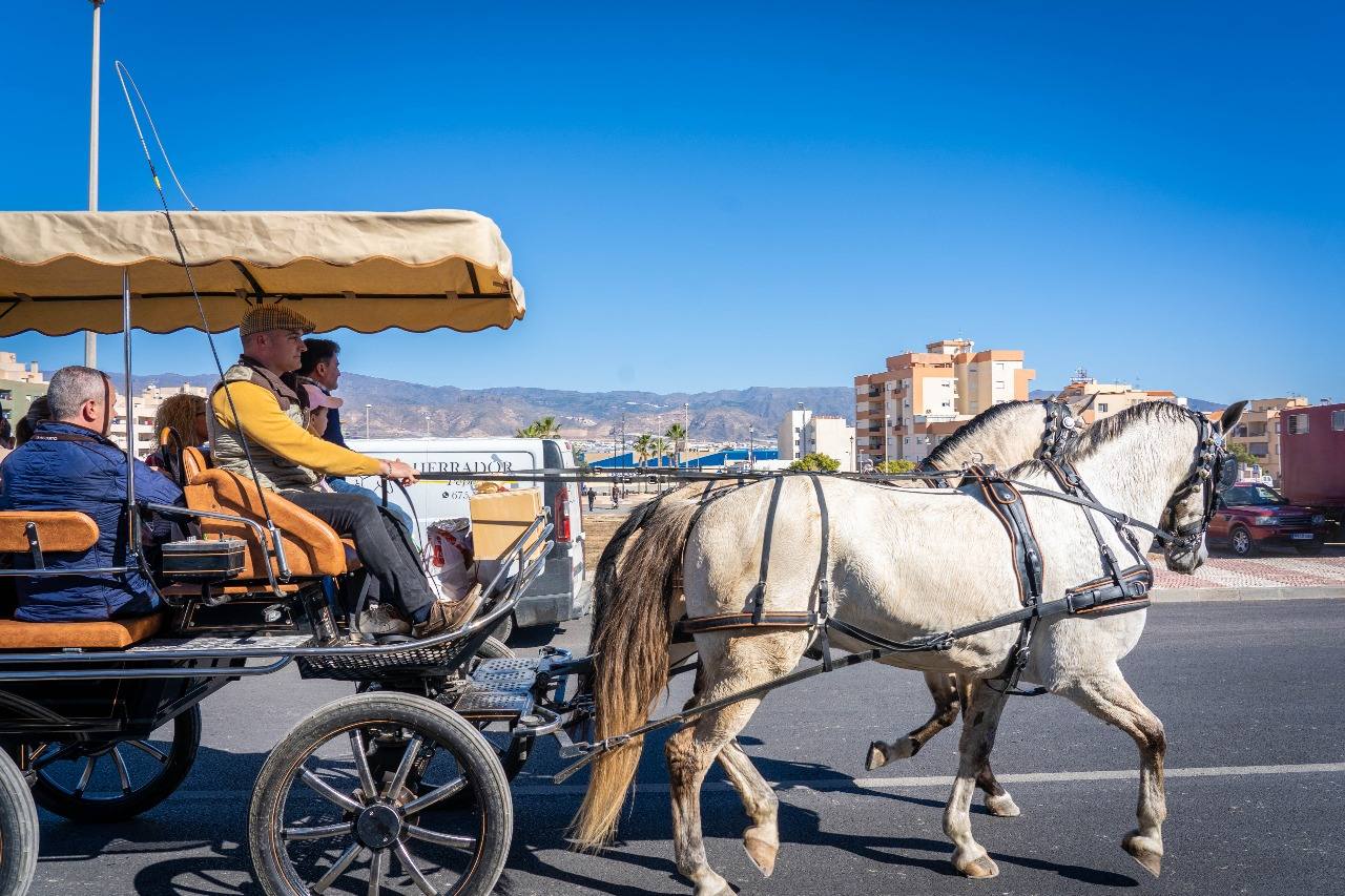 Así fue el tradicional paseo a caballo en Roquetas por el Día de Andalucía