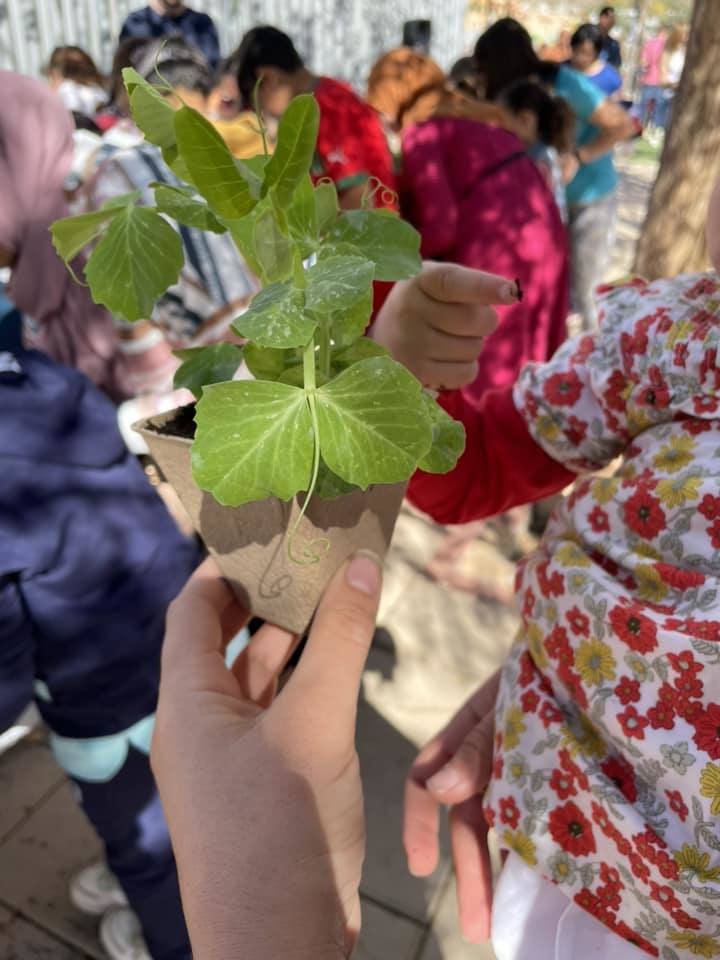 Vícar celebra el Día del Padre con una fiesta en el Parque de las Familias