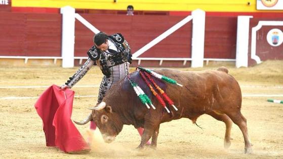 Insecop se hará cargo de la organización de la Feria Taurina de este año