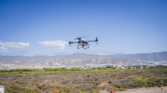 Los drones sobrevuelan la Ribera de la Algaida para luchar contra los mosquitos