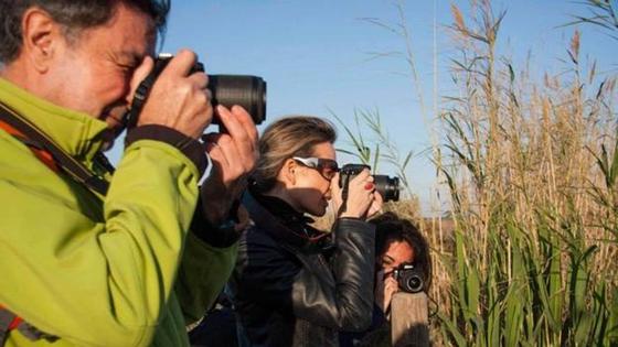 Vuelven los talleres de fotografía veraniegos para niños y adultos