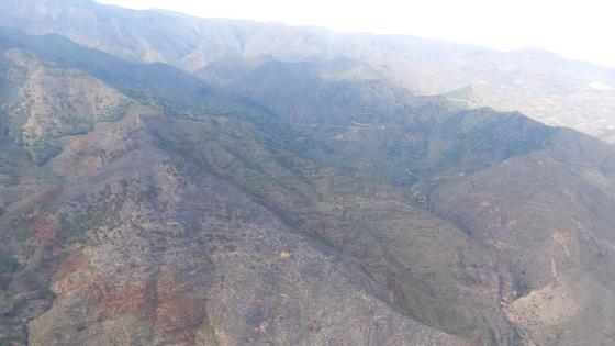Extinguido el incendio forestal en Vícar, que ha arrasado unas 19 hectáreas