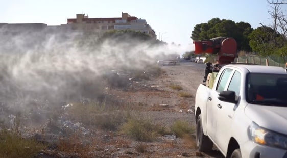 Roquetas le pasa «la factura» a los mosquitos en verano