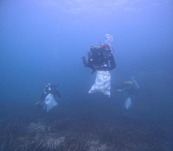 Varios buceadores voluntarios recogen residuos en el fondo marino.