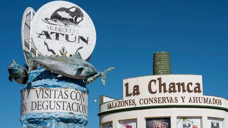 Cádiz, Chiclana y Barbate: próxima convivencia de mujeres vicarias a finales de octubre