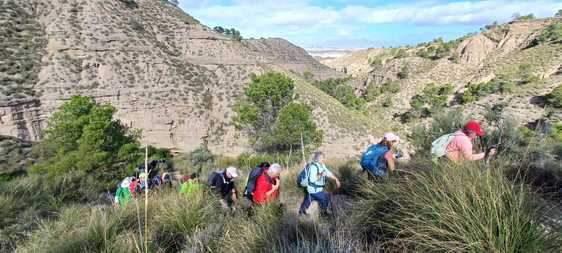 Más de 40 senderistas disfrutaron de una caminata por el Geoparque de Granada