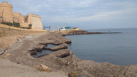 Almería Avanza teme que la playa del Faro se pierda para siempre