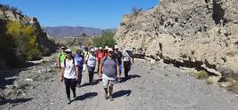 Varios senderistas realizan una caminata por la naturaleza.