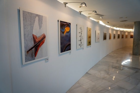 Una exposición fotográfica en Roquetas da a conocer distintos estilos artísticos