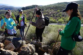 Jóvenes plantan varios árboles en el municipio de Vícar.