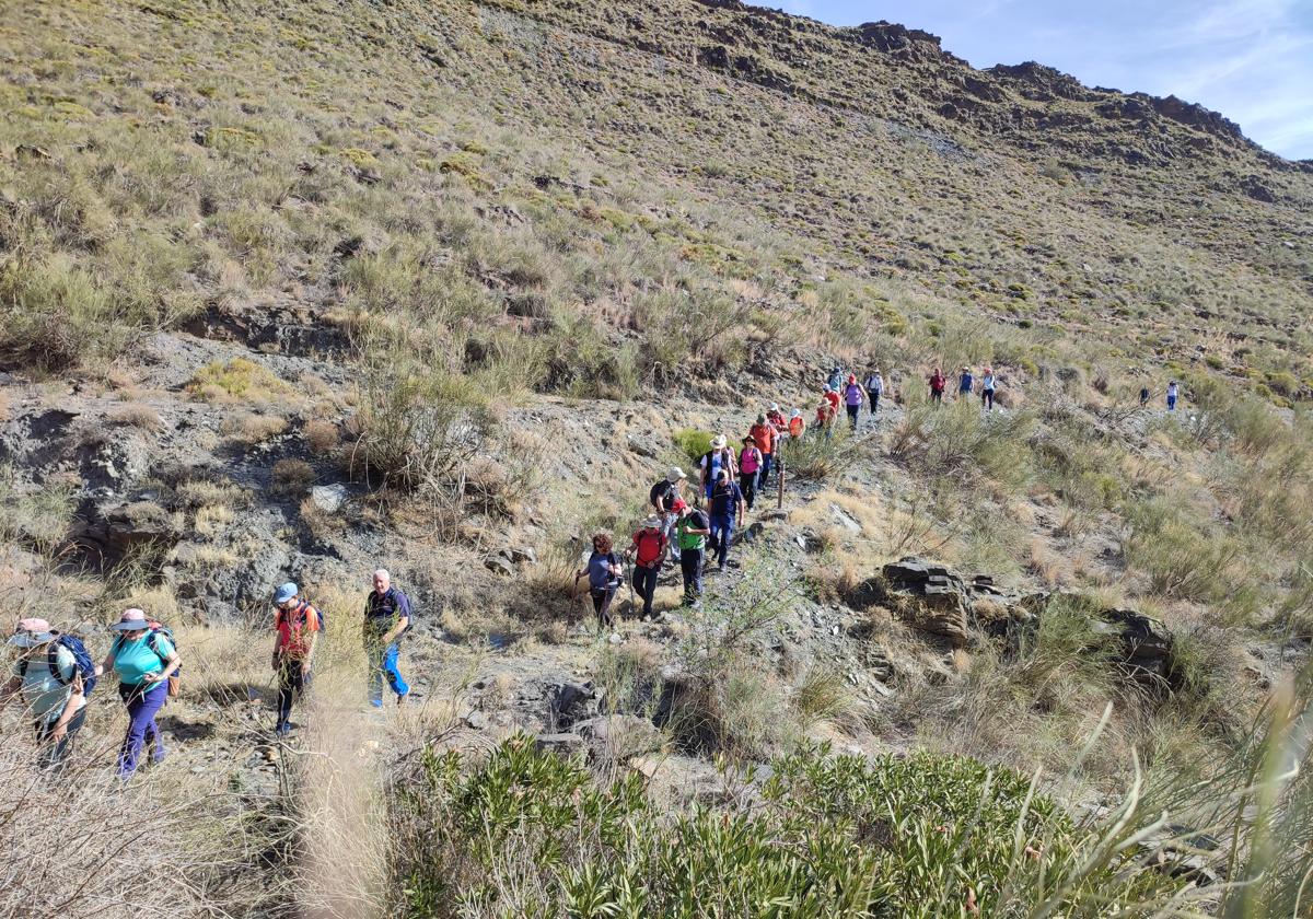 Varias personas realizan una ruta de senderismo por los Filabres.