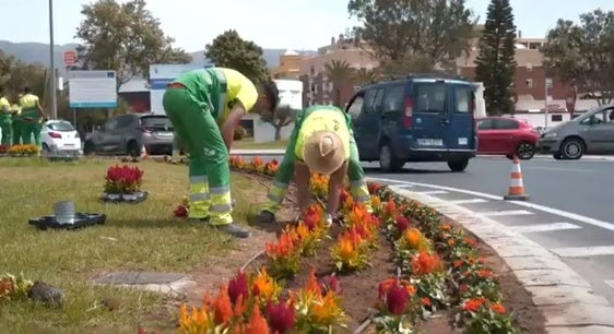 Operarios se encargan de embellecer la rotonda frente al centro comercial.