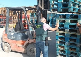 Los palés inmovilizados.