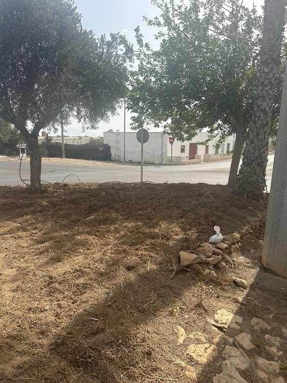 Una nueva imagen para el acceso de la entrada a La Mojonera